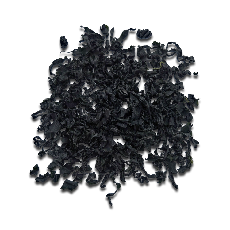 glony-WAKAME-mk-.png