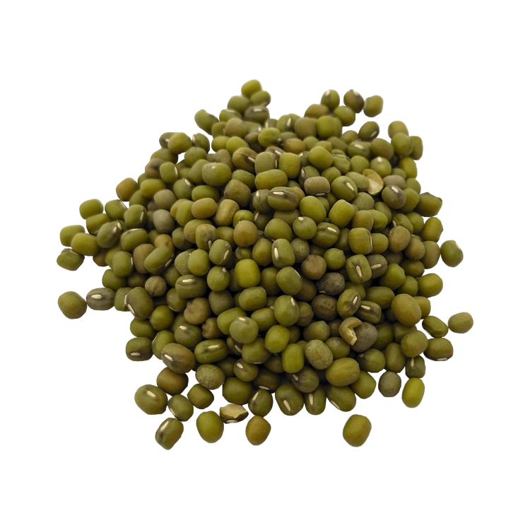 FASOLA MUNG-.png