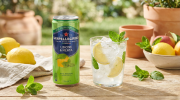 Sanpellegrino-LIMONE & MENTA-2.png
