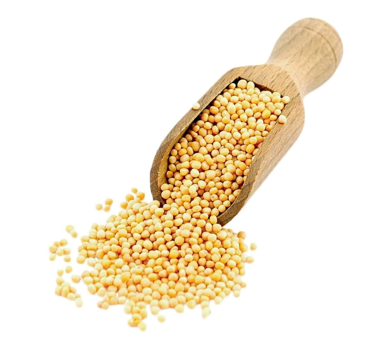 bb.gorczyca żółta ziarno.jpg