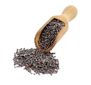 mx.gorczyca czarna ziarno.jpg