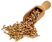 uf.kolendra ziarno.jpg