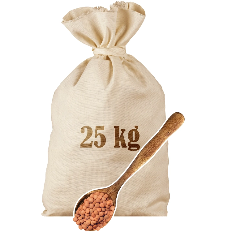 SOCZEWICA BRĄZOWA_mk.webp