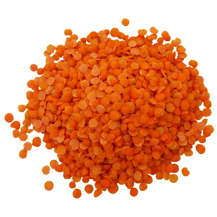 SOCZEWICA CZERWONA#3.jpg