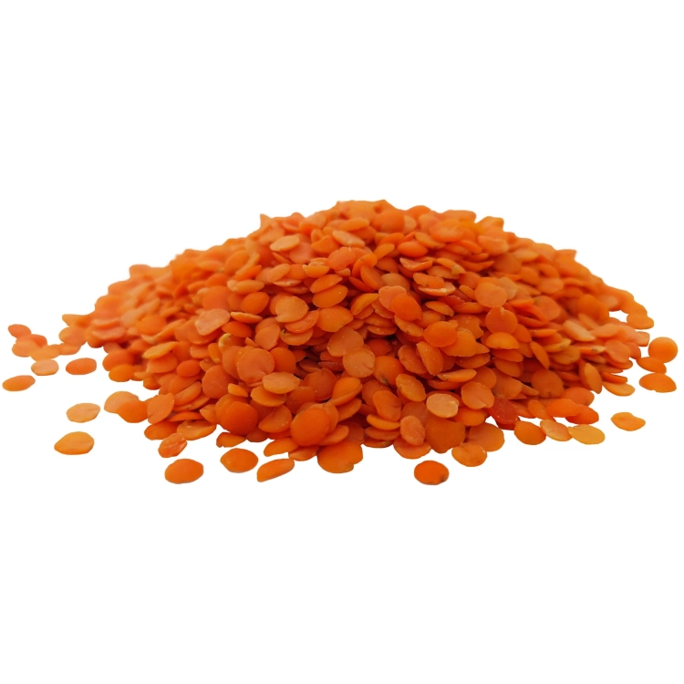 SOCZEWICA CZERWONA#2.jpg