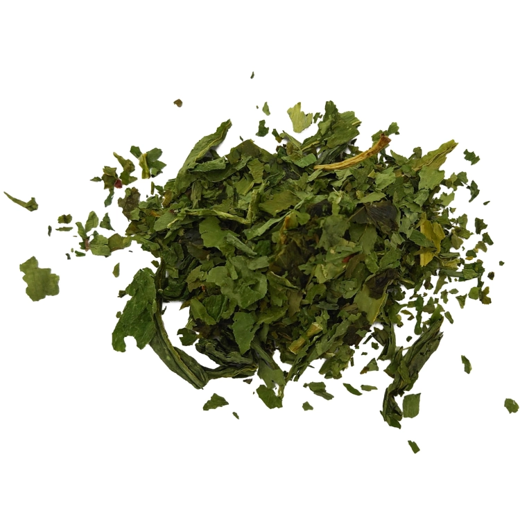 czosnek niedźwiedzi#3.jpg