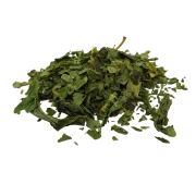 czosnek niedźwiedzi#2.jpg