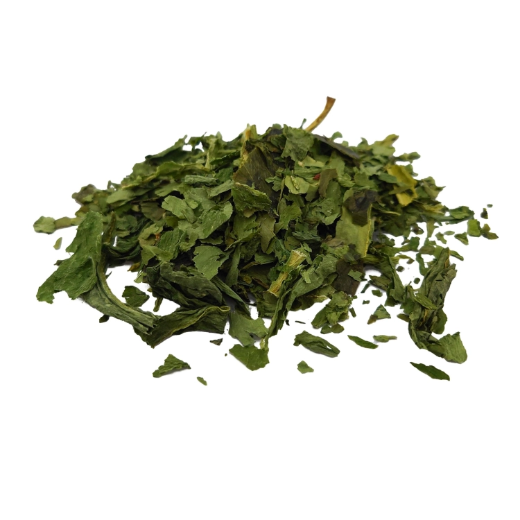 czosnek niedźwiedzi#2.jpg