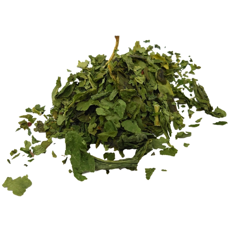 czosnek niedźwiedzi#1.jpg