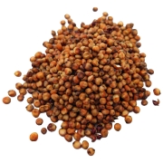 sorgo czerwone#2.jpg