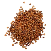 sorgo czerwone#1.jpg