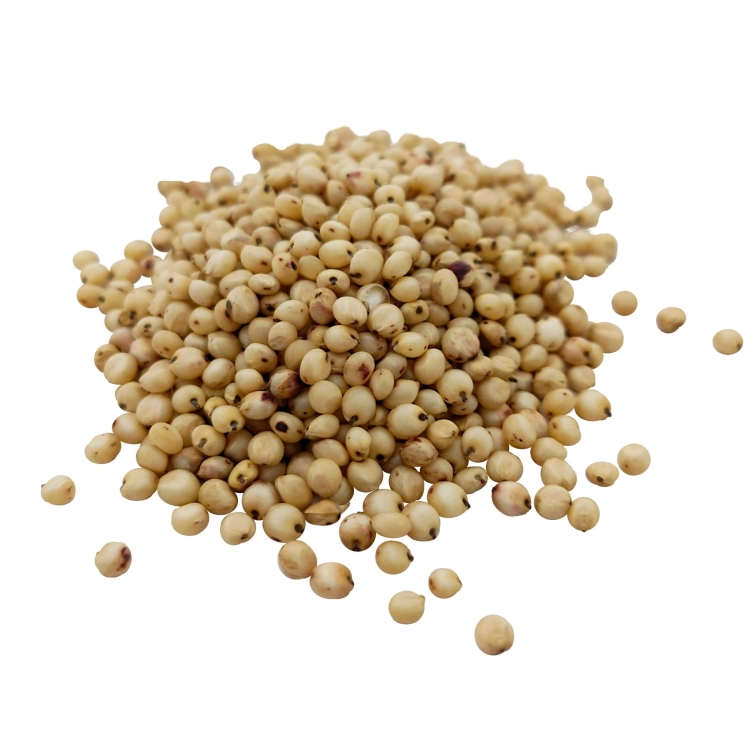 sorgo białe#5.jpg