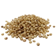 sorgo białe#4.jpg