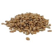 PSZENICA ZIARNA#3.jpg