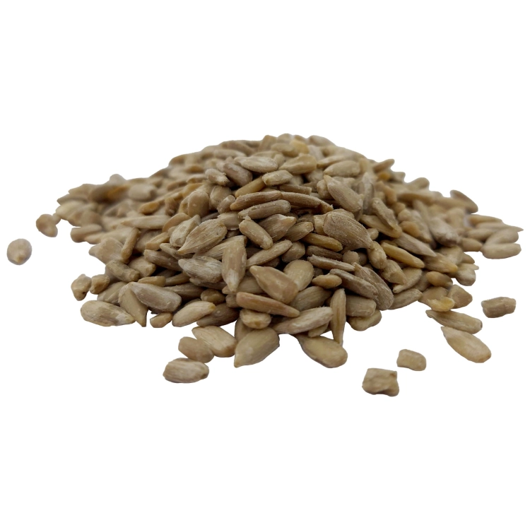 SŁONECZNIK ŁUSKANY#2.jpg