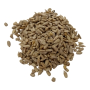 SŁONECZNIK ŁUSKANY#1.jpg