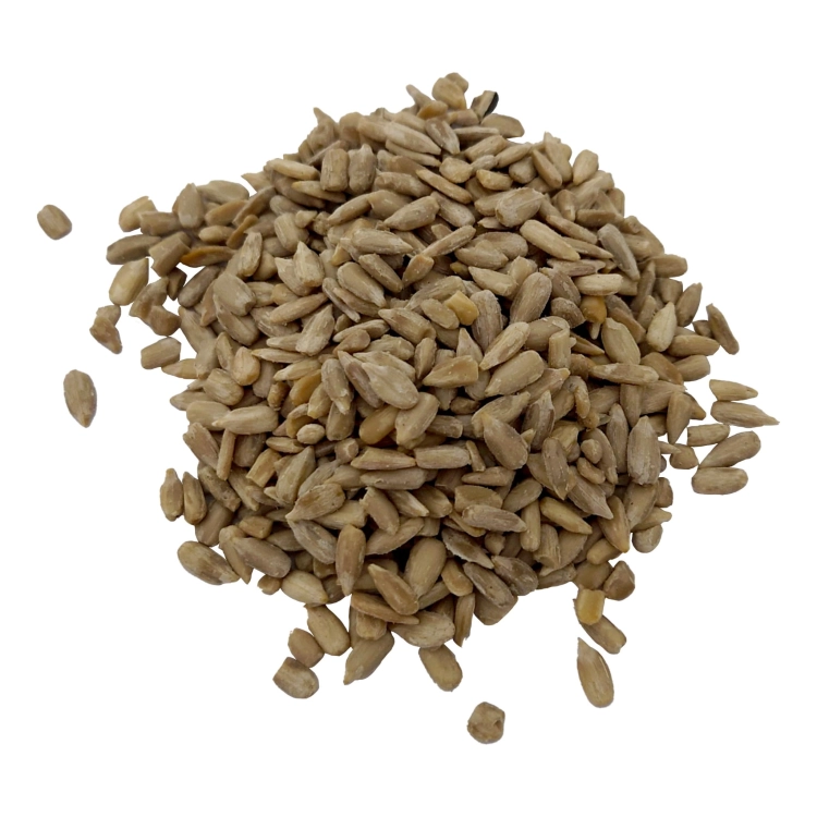 SŁONECZNIK ŁUSKANY#1.jpg