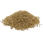 KOMOSA RYŻOWA_BIAŁA#1.jpg