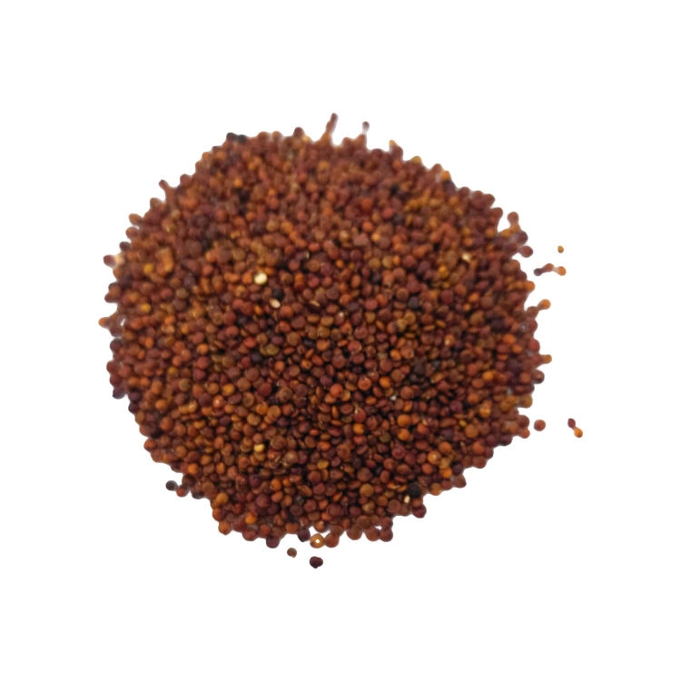 KOMOSA RYŻOWA_CZERWONA#3.jpg