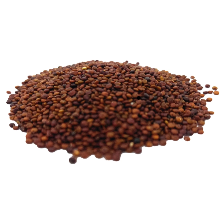 KOMOSA RYŻOWA_CZERWONA#2.jpg