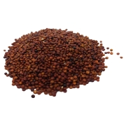 KOMOSA RYŻOWA_CZERWONA#1.jpg