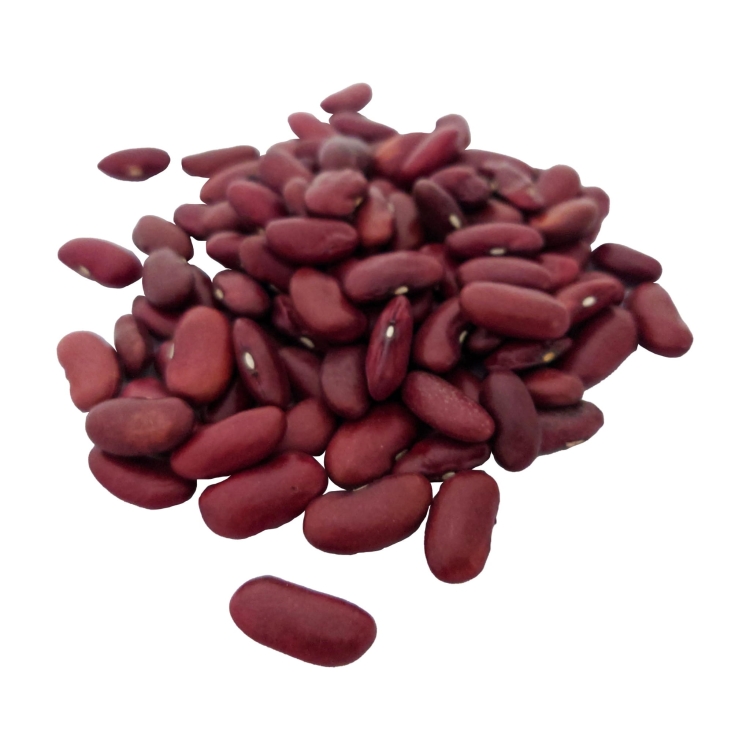 fasola czerwona#3.jpg