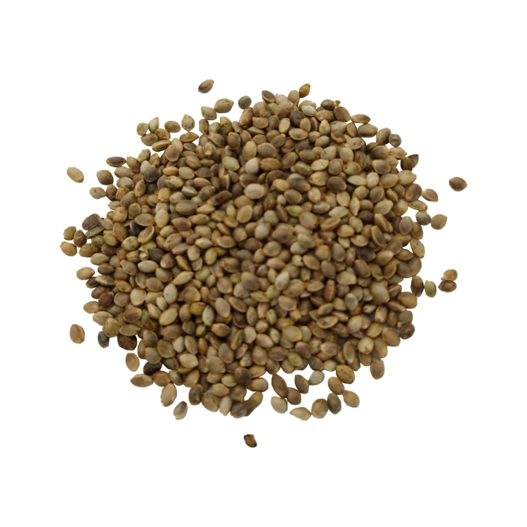 KONOPIA NASIONA#3.jpg