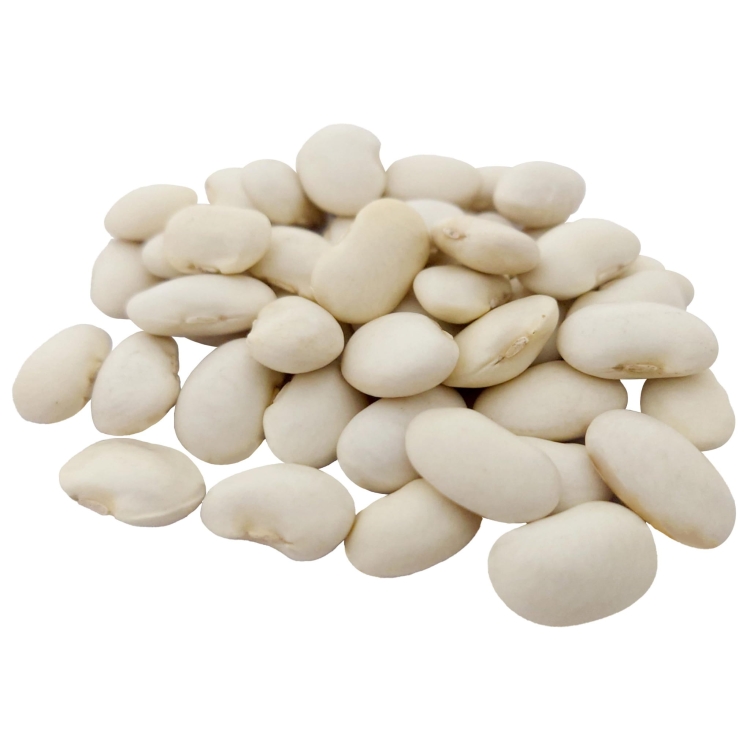 FASOLA JAŚ KARŁOWY#2.jpg