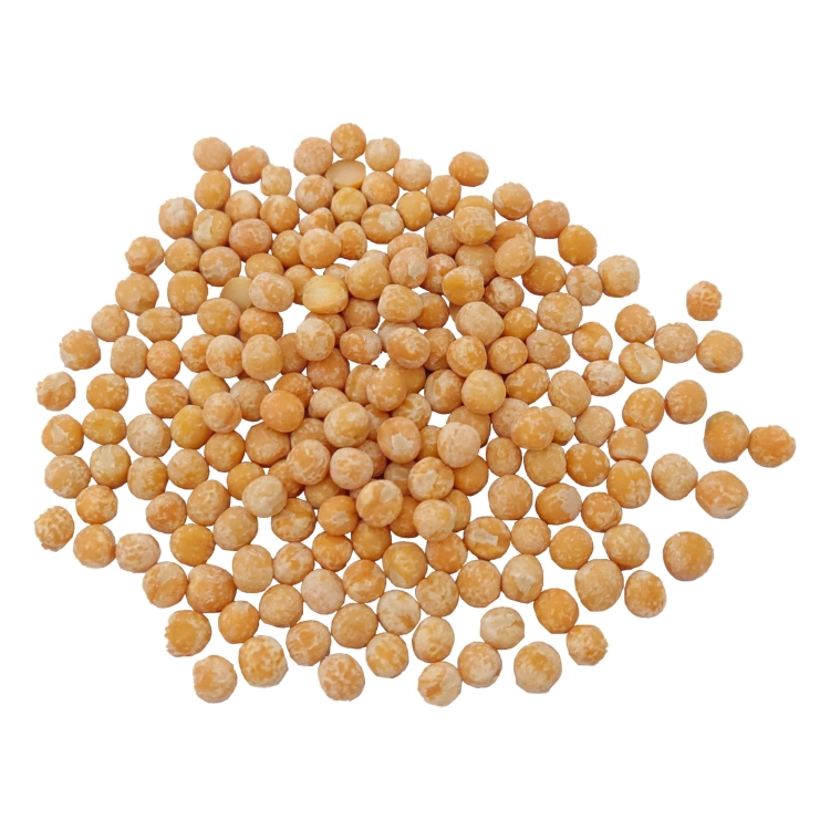 GROCH ŻÓŁTY CAŁY#1.jpg