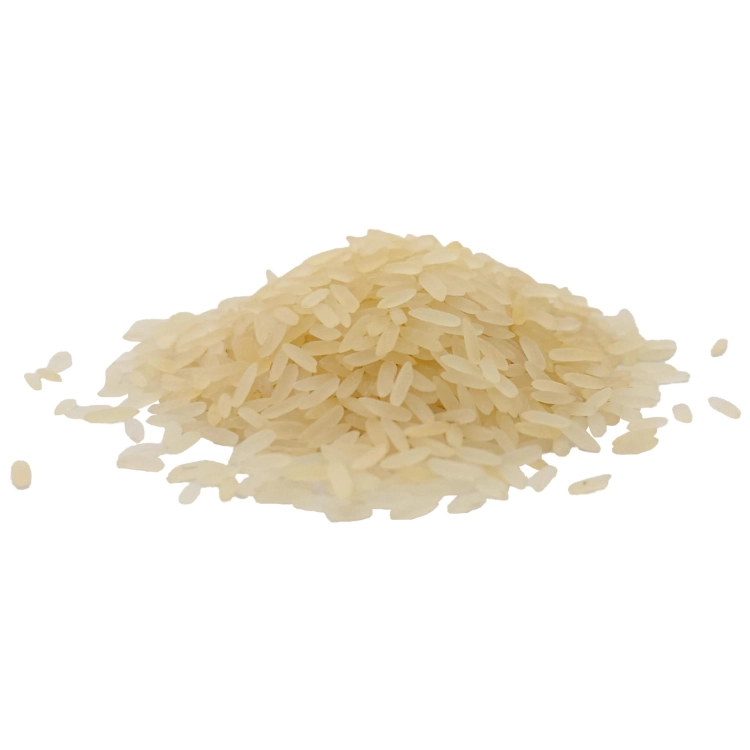 RYŻ PARABOLICZNY#4.jpg