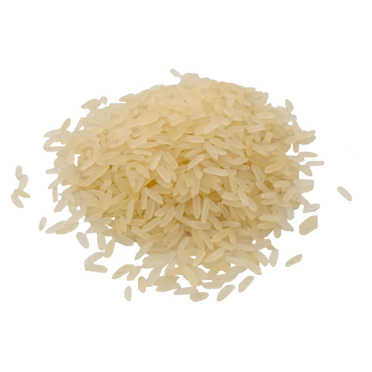 RYŻ PARABOLICZNY#3.jpg