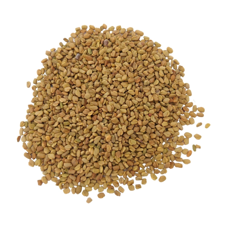 KOZIERADKA ZIARNA#3.jpg