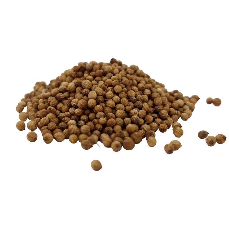 KOLENDRA OCZYSZCZONA-3.jpg