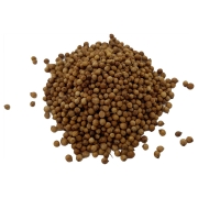 KOLENDRA OCZYSZCZONA-2.jpg