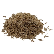 KMIN RZYMSKI ZIARNA-2.jpg