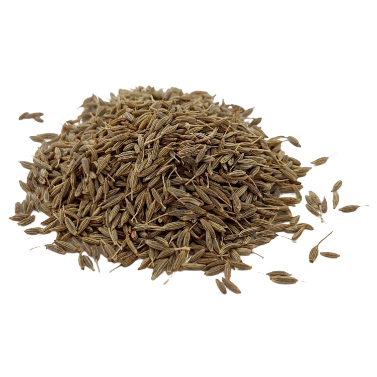 KMIN RZYMSKI ZIARNA-2.jpg