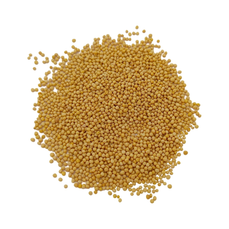 BIAŁA GORCZYCA-1.jpg