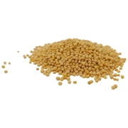 BIAŁA GORCZYCA-3.jpg