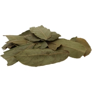 LIŚĆ LAUROWY-1.jpg