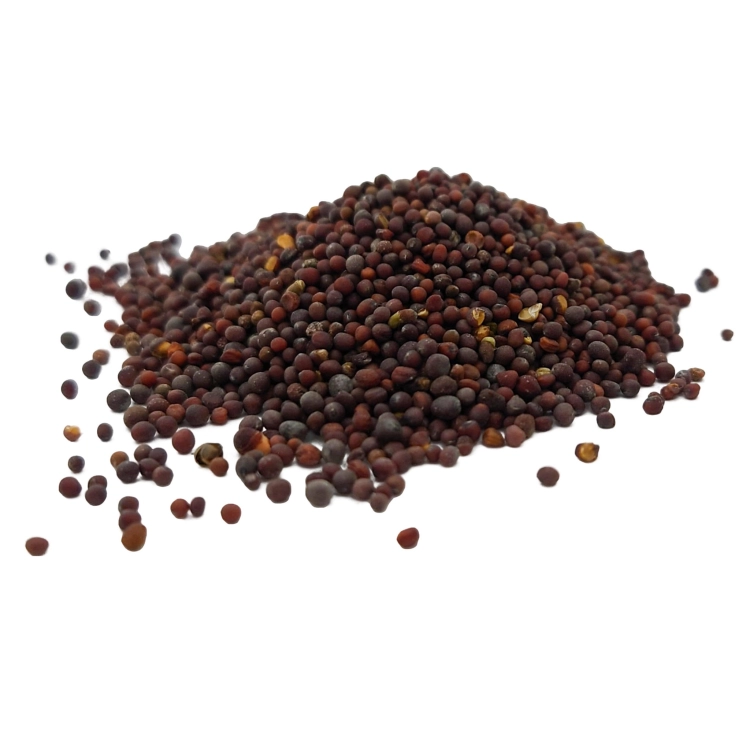 GORCZYCA CZARNA ZIARNA-1.jpg