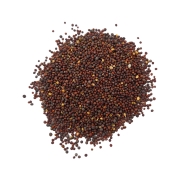 GORCZYCA CZARNA ZIARNA-3.jpg