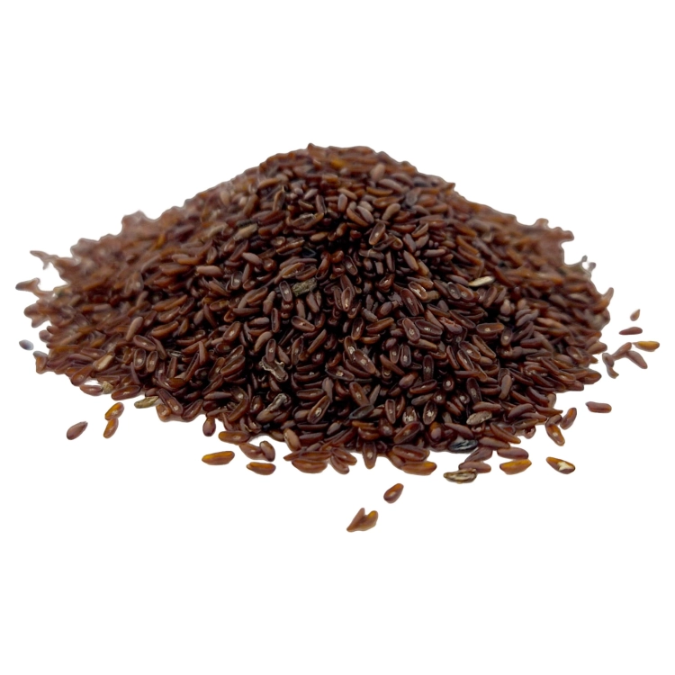 BABKA PŁESZNIK-1.jpg