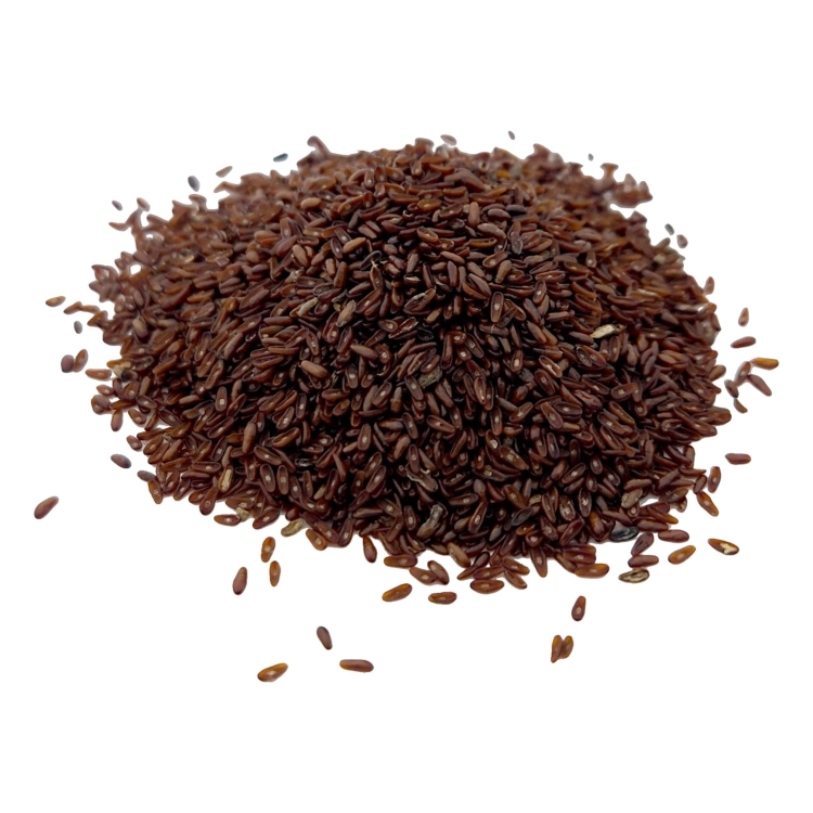 BABKA PŁESZNIK-2.jpg