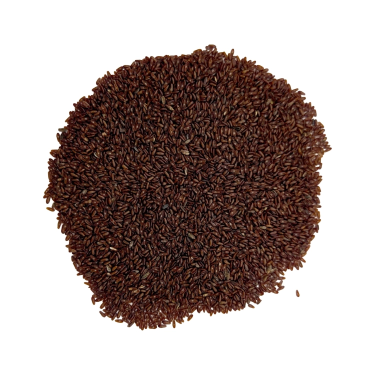 BABKA PŁESZNIK-3.jpg