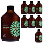 VIGO-KOMBUCHA-OGOREK-KOLENDRA-8-SZT.mk.webp