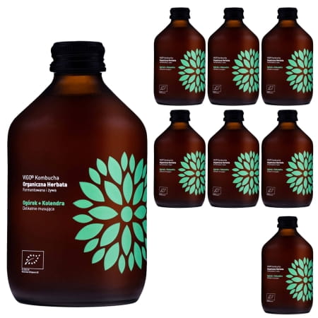 VIGO-KOMBUCHA-OGOREK-KOLENDRA-8-SZT.mk.webp