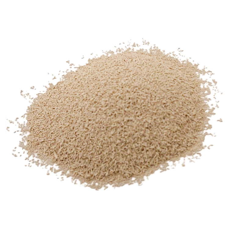 DROŻDŻE STIAOGNI-5.jpg