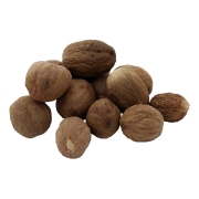 GAŁKA MUSZKATOŁOWA-5.jpg