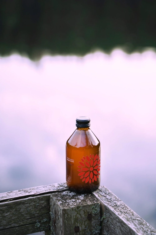 MALINA+ROZMARYN-VIGO-KOMBUCHA-2.jpg