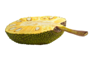 jackfruit-na-bialym-tle-jackfruit-to-owoce-tropikalne-o-dobrym-zapachu-i-slodyczy.png